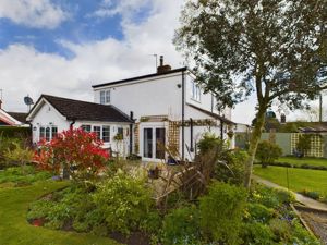 Rear garden- click for photo gallery